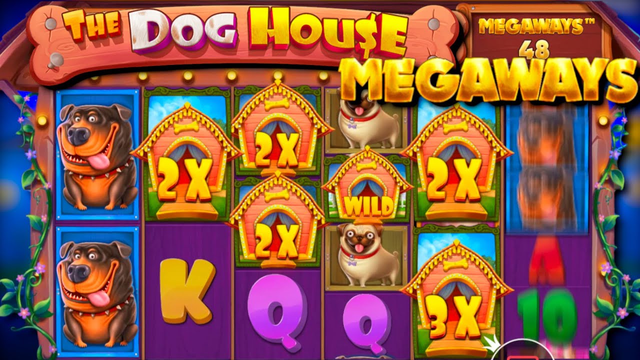 Let’s talk about The Dog House Megaways